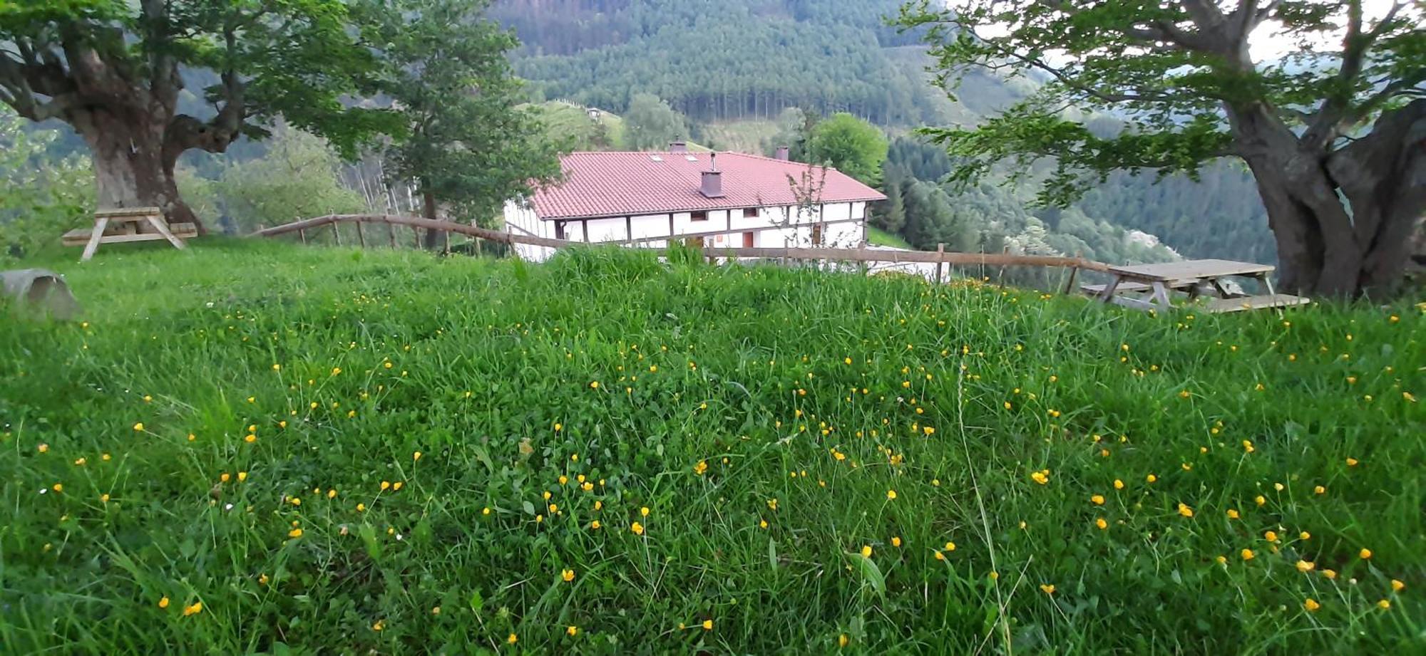 Ondarbaso Apartamentos Rurales I Zestoa Extérieur photo